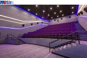 China Plastic Armrest Movie Theater Chairs Cinema Room Furniture wholesale