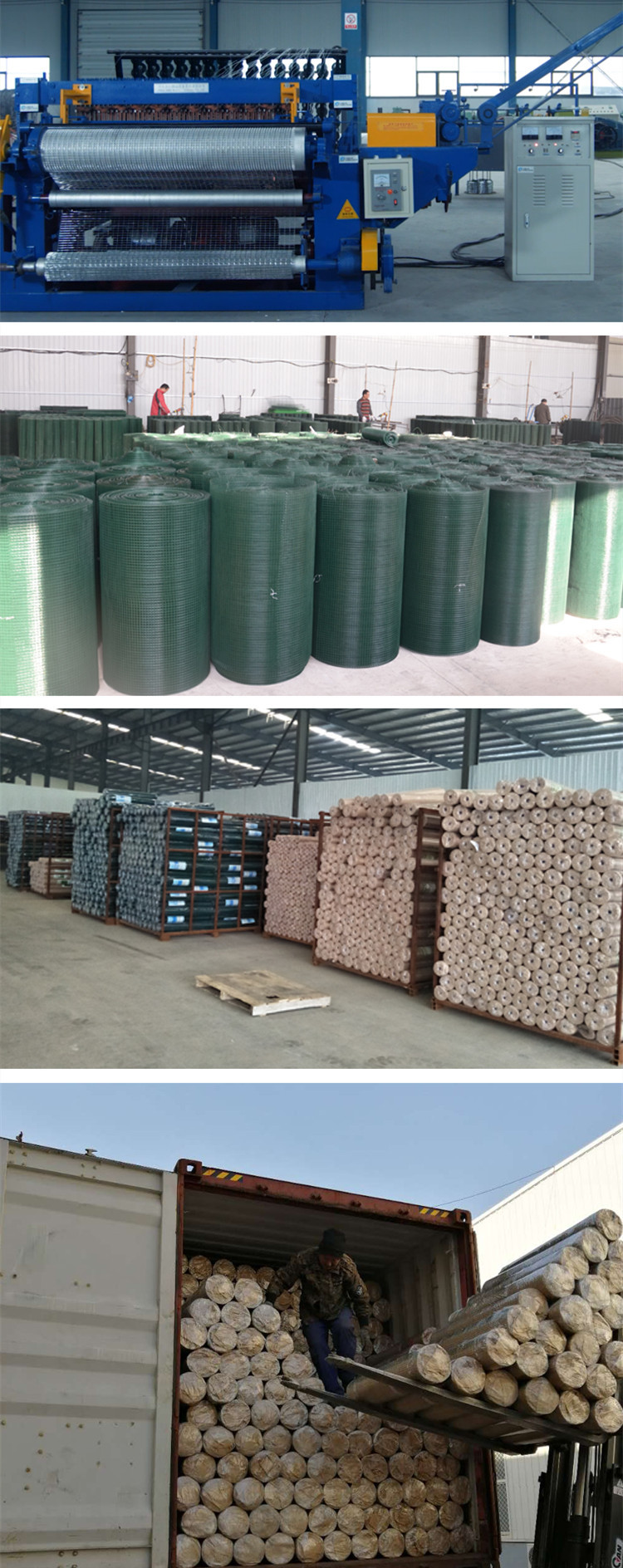 Hot Dipped Galvanized Iron Wire Mesh 1/2 Inch Welded Wire Mesh Fence Roll