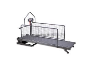 China Folding Pet Treadmill Medical Veterinary Equipment , Rehabilitation Training Equipment wholesale
