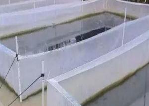 China Nylon Mesh Aquaculture Net Under Water Fishing Net Customized Mesh Count wholesale