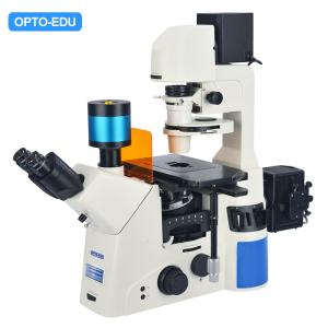 China Opto Edu A16.1097 Lcd Touch Screen Fluorescence Stereomicroscope wholesale