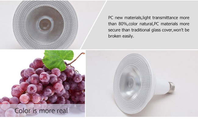 Supply 16W LED par light