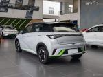 Dolphin Automobile New Energy Electric Vehicle EV Byd Electric Car
