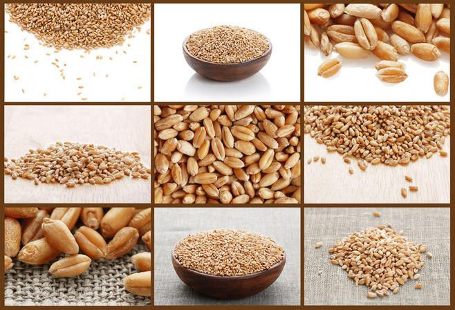 5400 Pixel Wheat Color Sorter With High Speed Camera ISO9001 approval