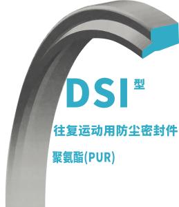 China DSI Cylinder Dust Seal wholesale