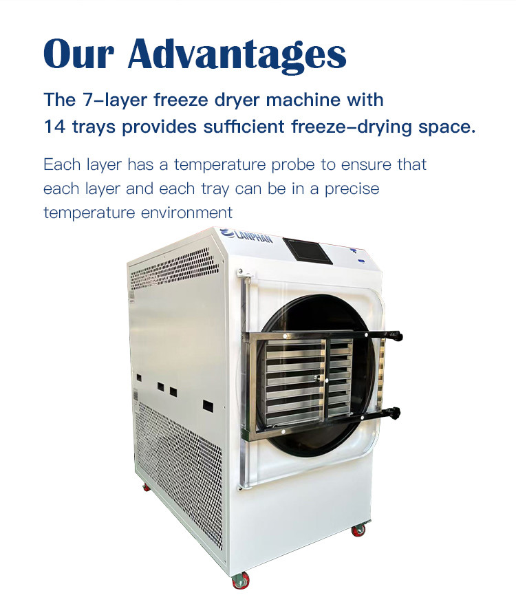 Multi-Function Lab Commercial Vegetable Snack 60KG Vacuum Freeze Dryer Lyophilizer Machine