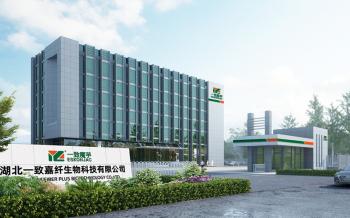 Hubei Yizhi Konjac Biotechnology Co., Ltd