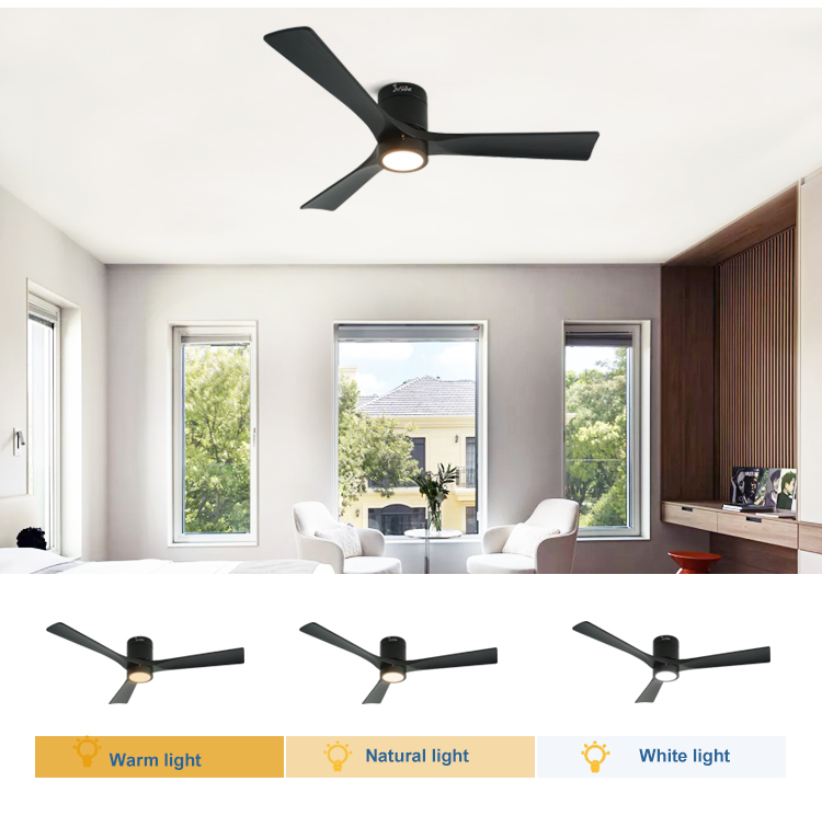 ceiling fan with light