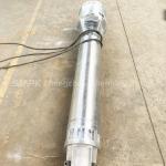 10" 120hp 150m3/H Flow Sea Water Submersible Pump Super Duplex Stainless Steel