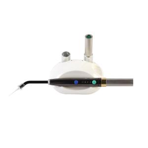 China Oral Therapy Low Level Diode 650NM Dental Deep Soft Tissue Laser Pen on sale