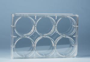 China 6 Well TCT Plate Cell Culture Consumables Transparent wholesale