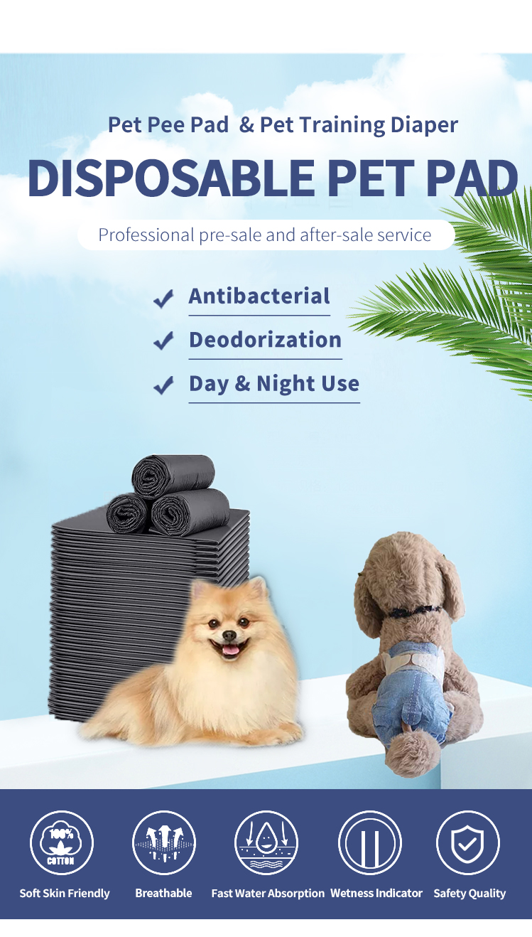 Freely Samples Offered Biodegradable Dog Puppy Extra Large Pet Cat Dog Training Puppy Pads