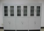 Professional Biological Computer Lab Furniture Chemical Reagent Cabinet