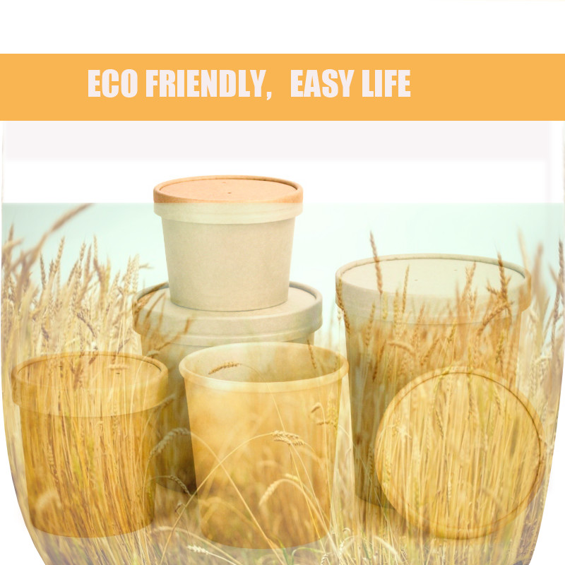 Disposable biodegradable mini sugarcane squared shaped bagasse paper snack appetizer plate