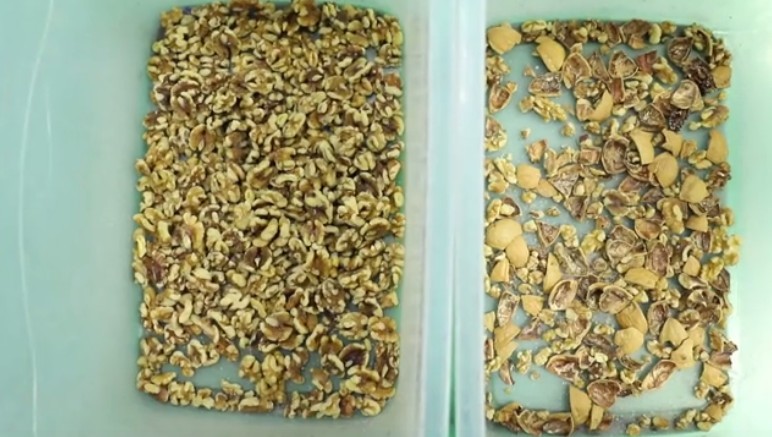 Automatic Walnut Color Sorter Processing Machine RGB Sorting Machine Cashew Nut Color Sorting Machine