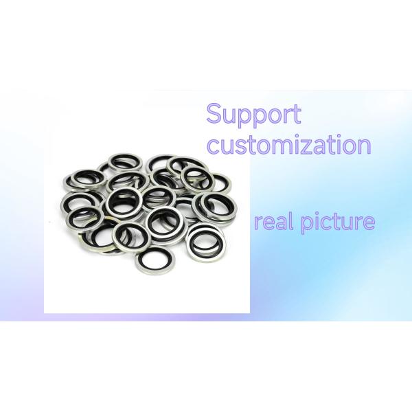 Metal With Nbr Rubber Gasket/bonded Sealing Washer/factory Produce Piston Metal Compound Rubber Ring