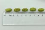 Low Fat Yogurt Onions Flavor Roasted Edamame Green Beans Natural Snacks