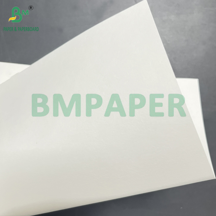 200gsm 400gsm Natural White Sugarcane Pulp Food Grade Paper Sheet