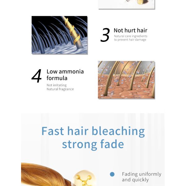 Professional Salon Gentle Non Irritating Hair Bleaching Powder in Bulk Dust Free