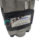 Bidirectional Gear Forklift Hydraulic Pump 91E71-10200 ODM