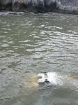 Underwater Inspection ROV,VVL-V400-4T,Underwater Robot,Underwater Search