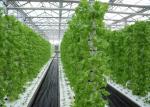 Space Saving Vertical Nft Hydroponic System Eco Friendly Recycles Water