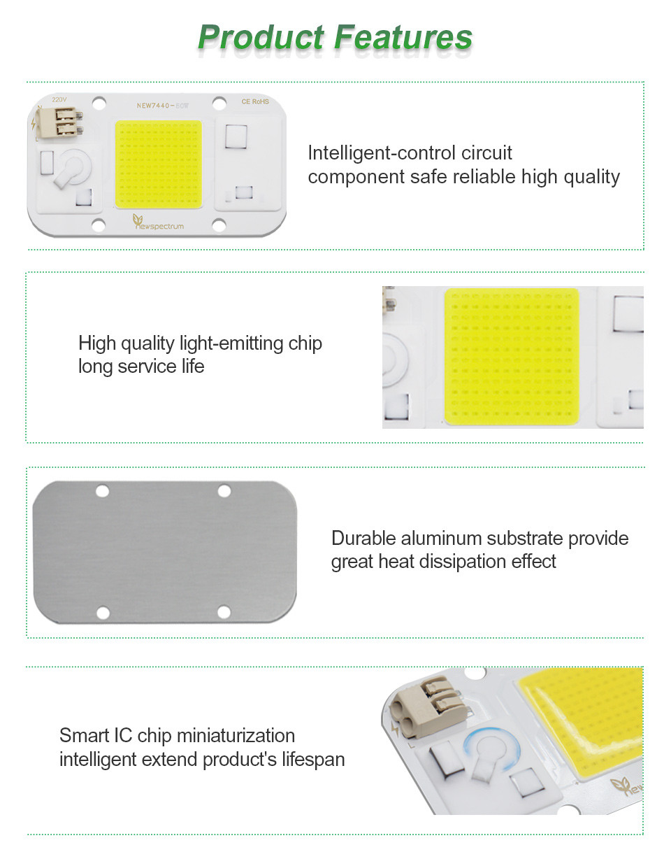 Warm White Light 50 Watt Cob Led Chip Energy Saving Design Superior Waterproof