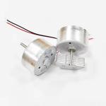 Hair Dryer Motor 0-24V 2970-3630RPM 0-35mA DC Brush Motor Go-Gold