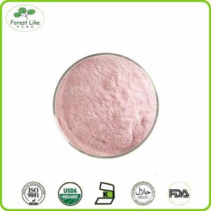 China Spray Dried Watermelon Fruit Juice Concentrate Powder wholesale