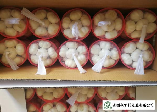 Reducing Bacteria Fresh Organic Garlic 9 Months Shelf Life Supply For Supermarke