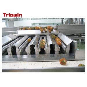 Fully Automatic Pineapple Juice Processing Machine PET Bottle End Package