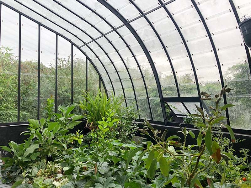 Tempered 4mm Greenhouse Roof Glass for Vagetables and Plants