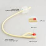 EO Sterilization Medical Disposable Supplies 8-26fr 2 Ways 3 Ways Latex Foley