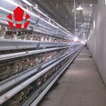 Cage Manufacturer 90 - 160 Birds Hot Galvanized Laying Hen Farming Equipments