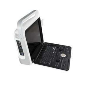 China 320V Venous Doppler Ultrasound Machine Scan CW Mode DICOM Interface wholesale