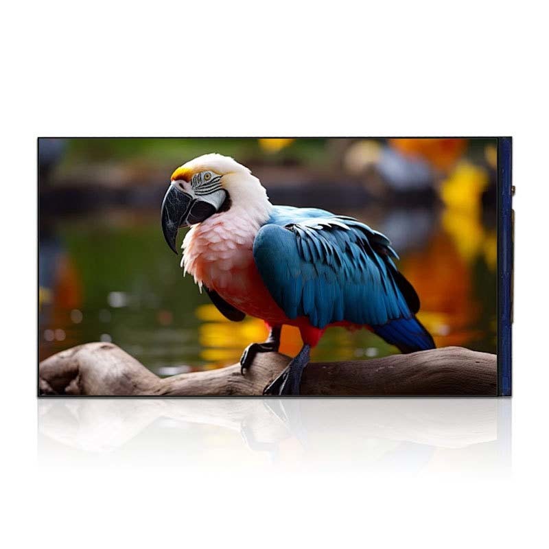 6 Inch FHD TFT Display High resolution Tft Display 720X1440 Dots 31 PINS MIPI Interface 450C/D driving IC ST7703