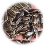 Competitive Price Hot Sales Roasted Sunflower Seeds Customized Packaging Dried