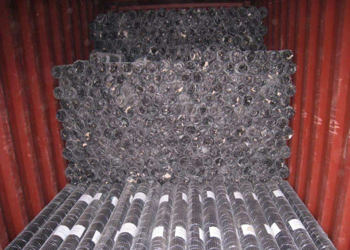 Hot dip galvanized 50mm 1.6mm chicken Hexagon Metal Mesh