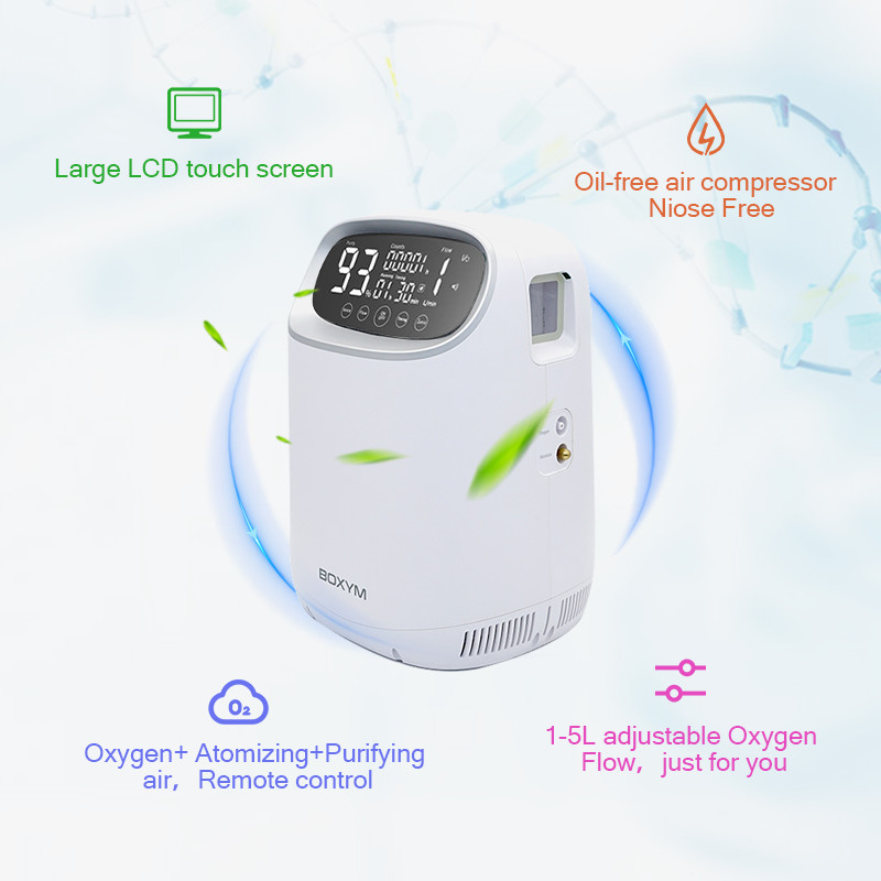 20Kpa To 60Kpa Medical Oxygen Concentrator Continuous Flow PSE