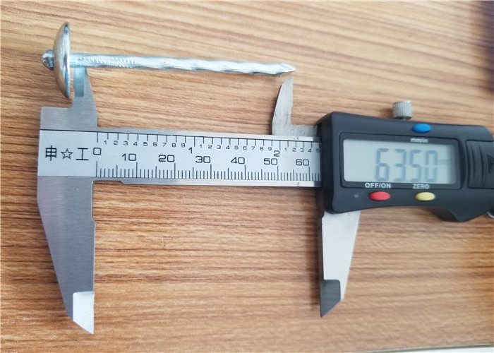 25kg carton Galvanized Twisted Umbrella Roofing Nails