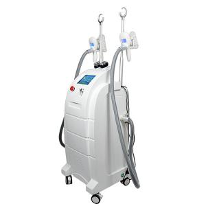 China 360 Cryolipolysis Cryo Fat Freezing Machine FDA Approved For Fat Sculpting wholesale