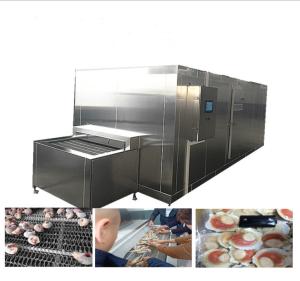 China 500kg/Hour Freon Compressor Mesh Belt IQF Freezing Machine wholesale
