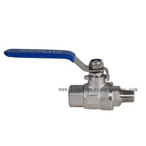 China 2 PC 1/4 Inch Instrument Manifold Ball Valve Male To Female Stainless Steel wholesale