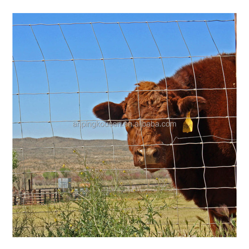 Sport Fence and Garden Protection with Low Carbon Steel Wire 3D Fencing
