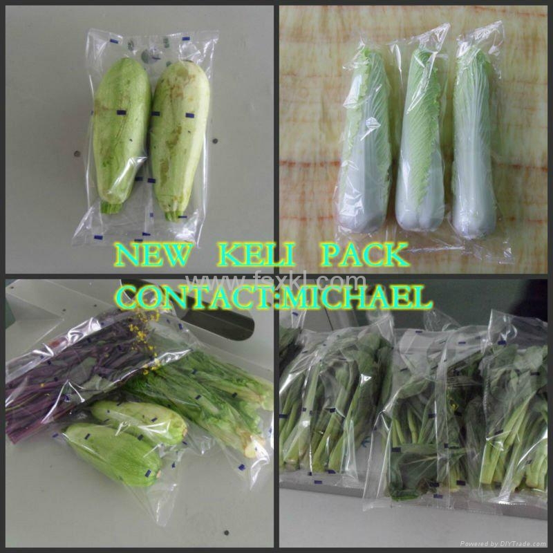 high speed fresh vegetable packing machine price good quality