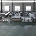 Customizable Stainless Steel Fruit and Vegetable Processing Machine for
