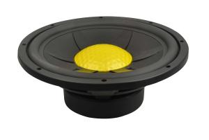 China 10&quot; steel frame 2&quot; voice coil street subwoofer wholesale