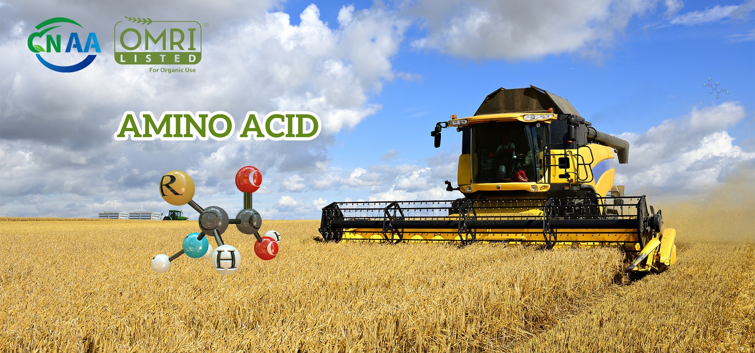 ProGrow Total Amino Acid 80% – Premium Plant-Based Organic Fertilizer for Sustainable Agriculture & Horticulture