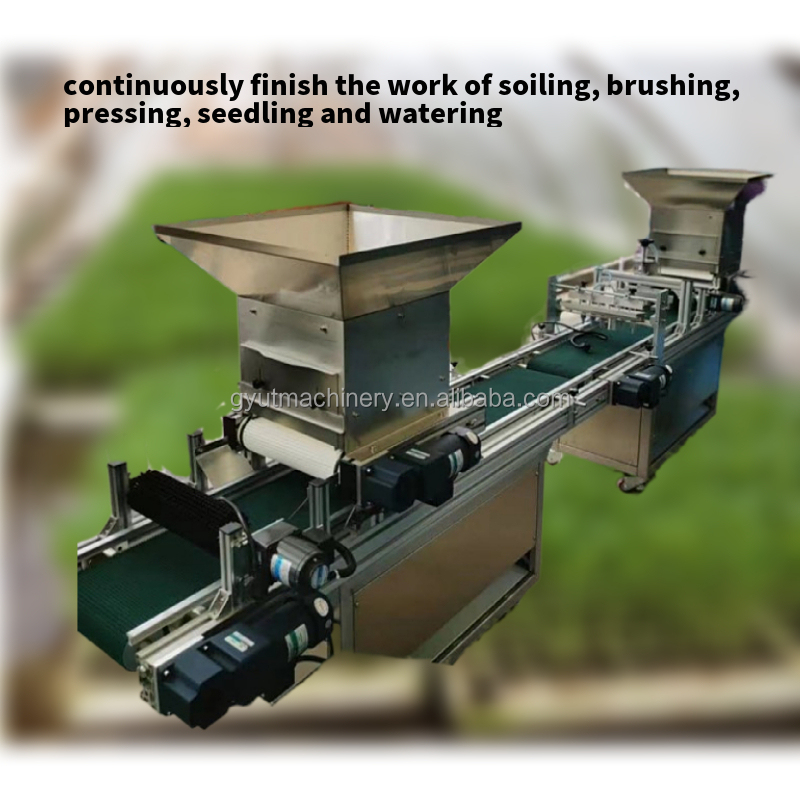 200 Tray Per Hour Black Tray Cabbage Seeding Planting Machines Automatic for Farms