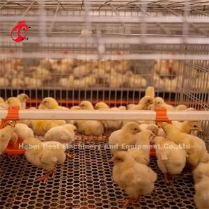 China Hightop Chick Brooder Chicken Cage Of Poultry Chicks Ada wholesale